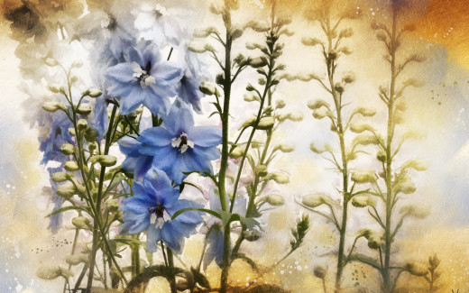 954611 (a): :1920x1200